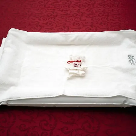 住宿加早餐酒店 Il Bonsai 罗马