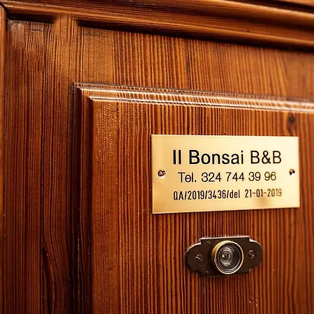 Il Bonsai * Rome