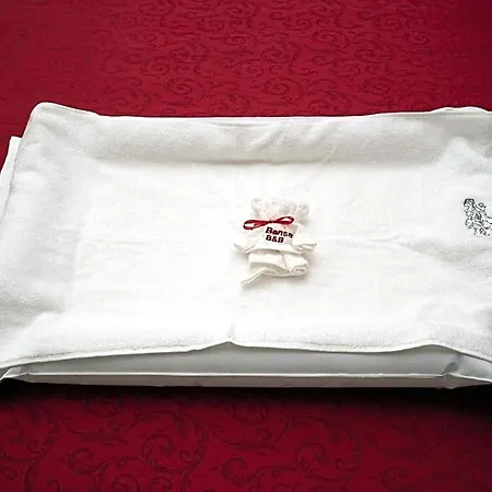 Bed & Breakfast Il Bonsai Rome