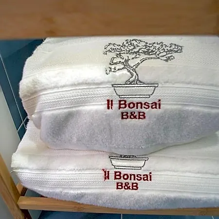 Il Bonsai Rome
